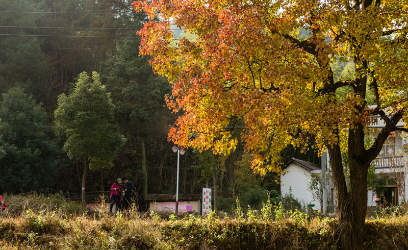 20151109-DSC_0336.jpg