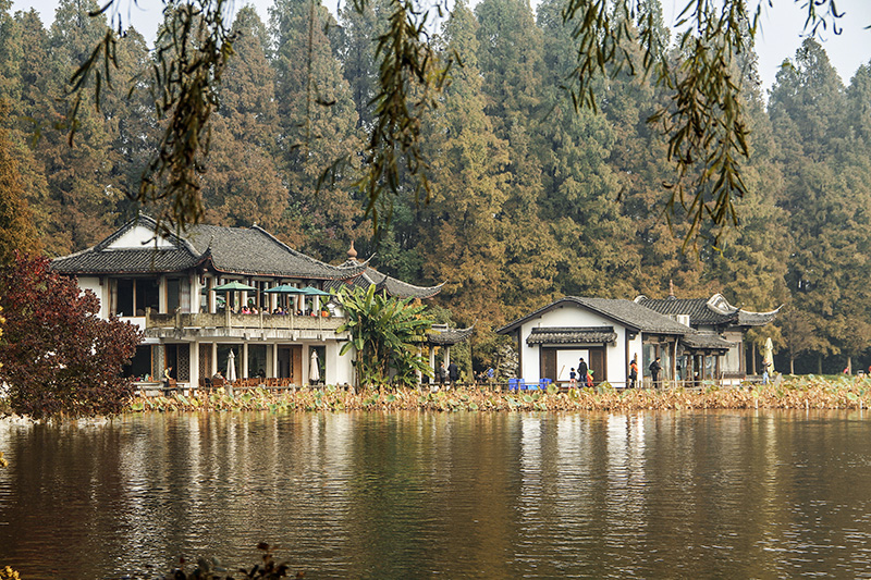 IMG_8839--小.jpg