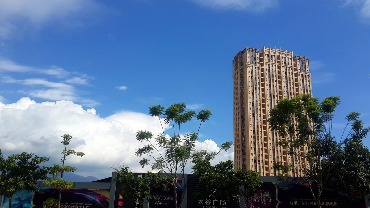 20150919_110113_副本.jpg