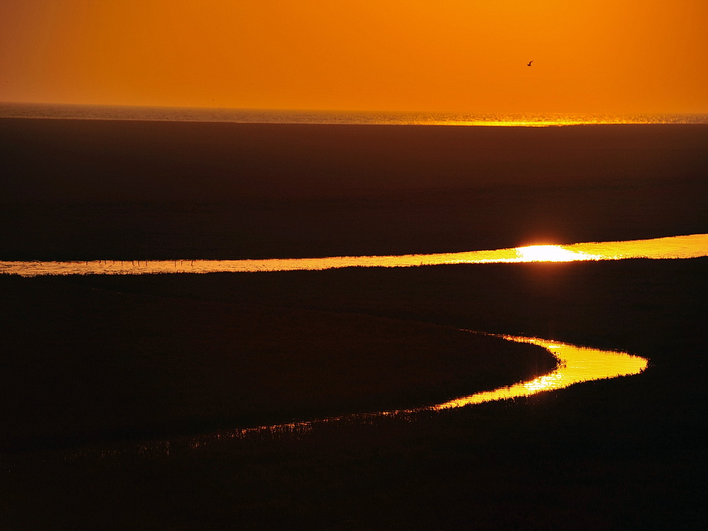 DSC_1767s.jpg