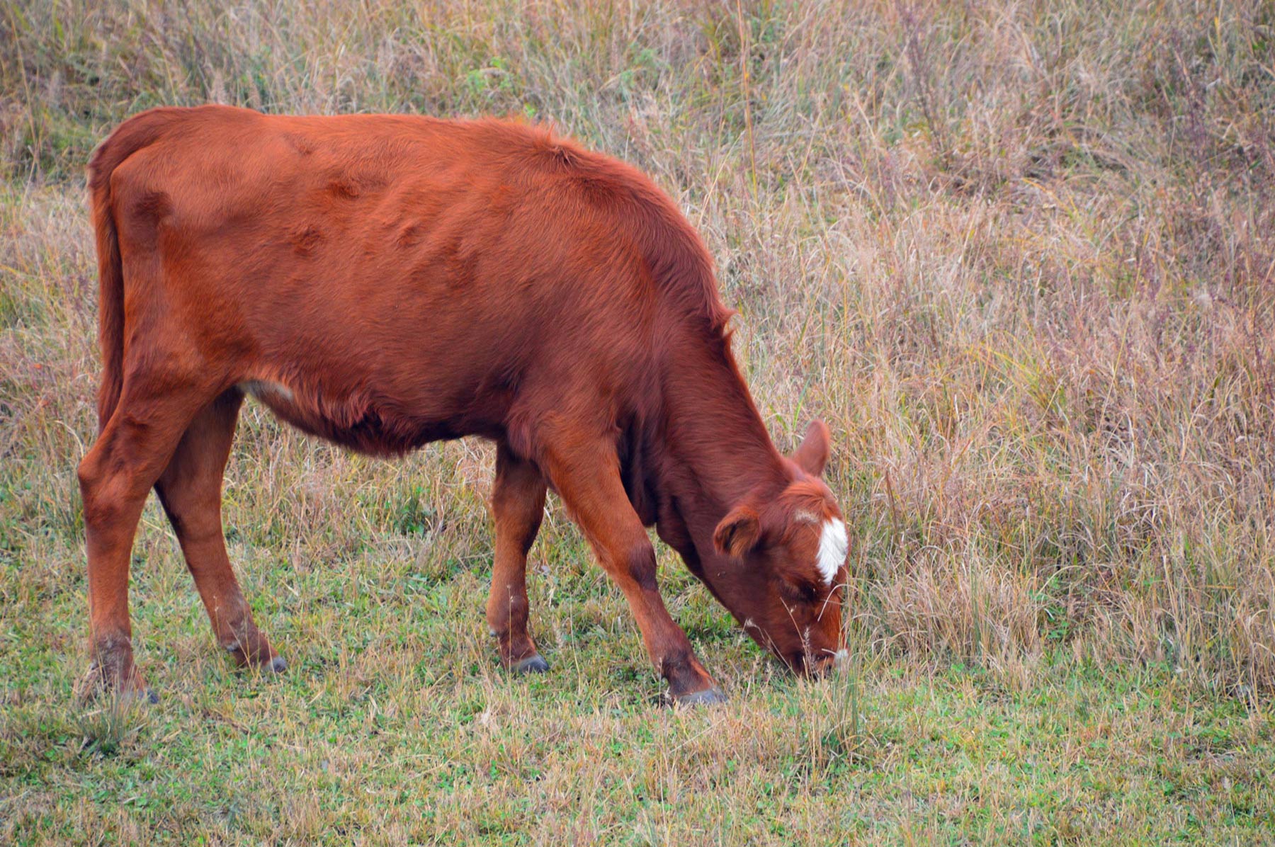 DSC_0903_副本.jpg