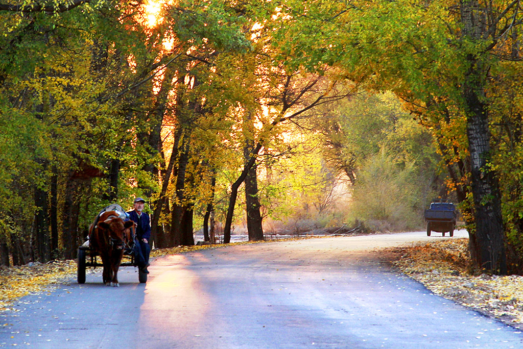 _MG_2328-000.jpg