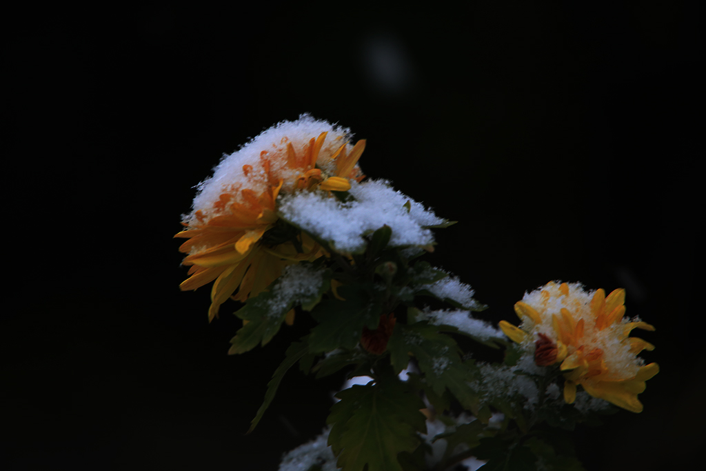 289A9880-.jpg