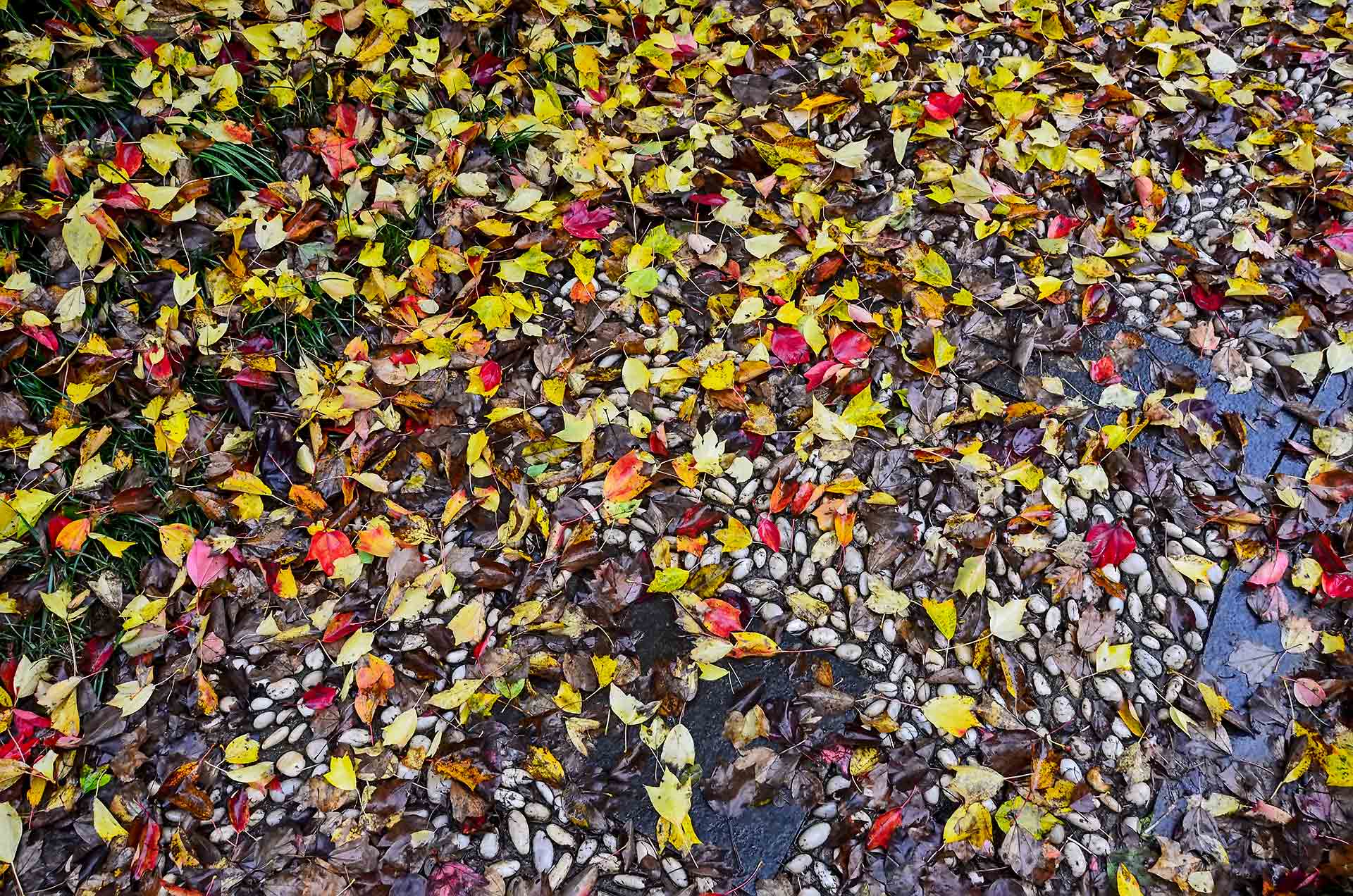 DSC_0066.jpg