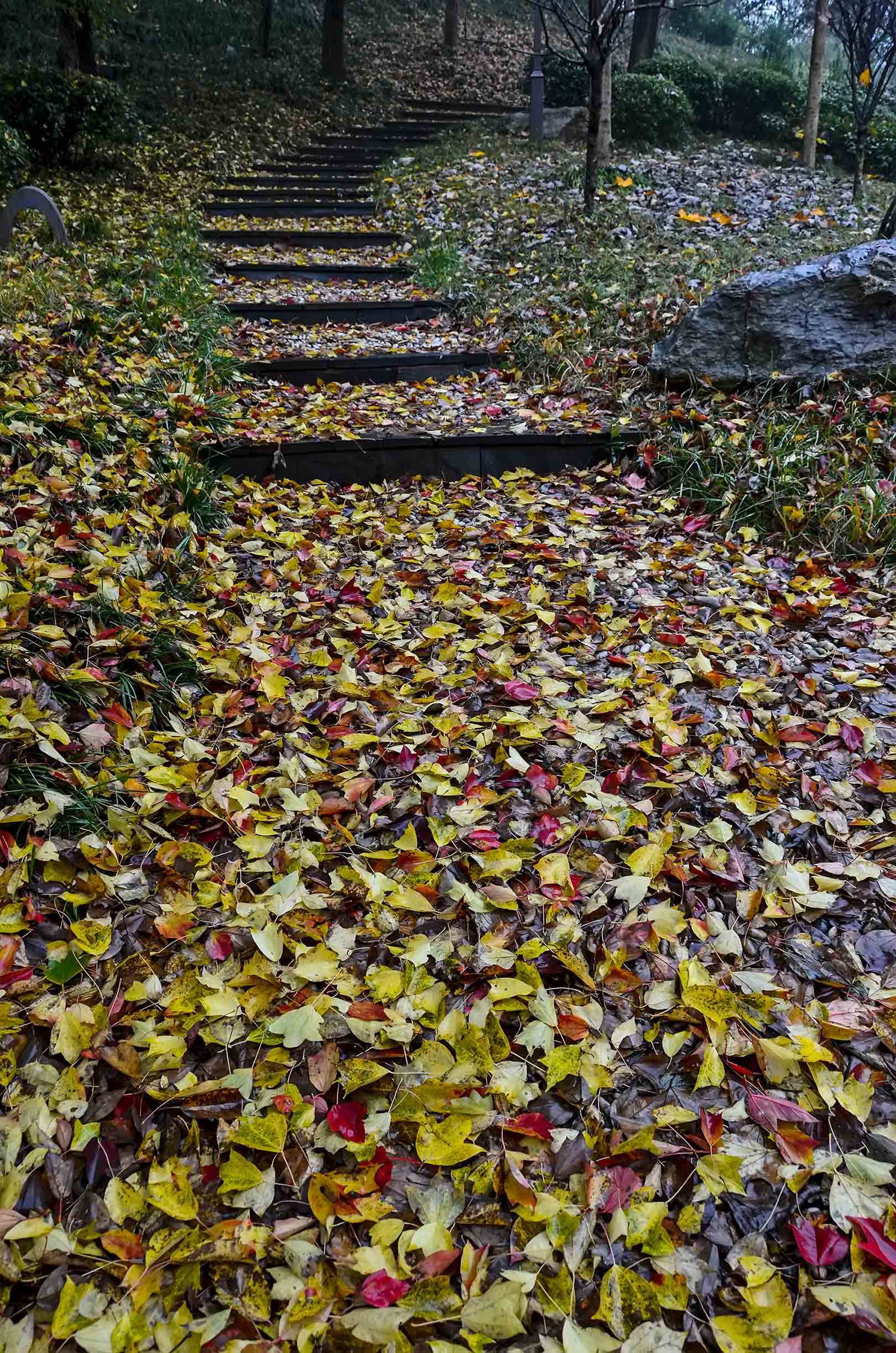 DSC_0077.jpg