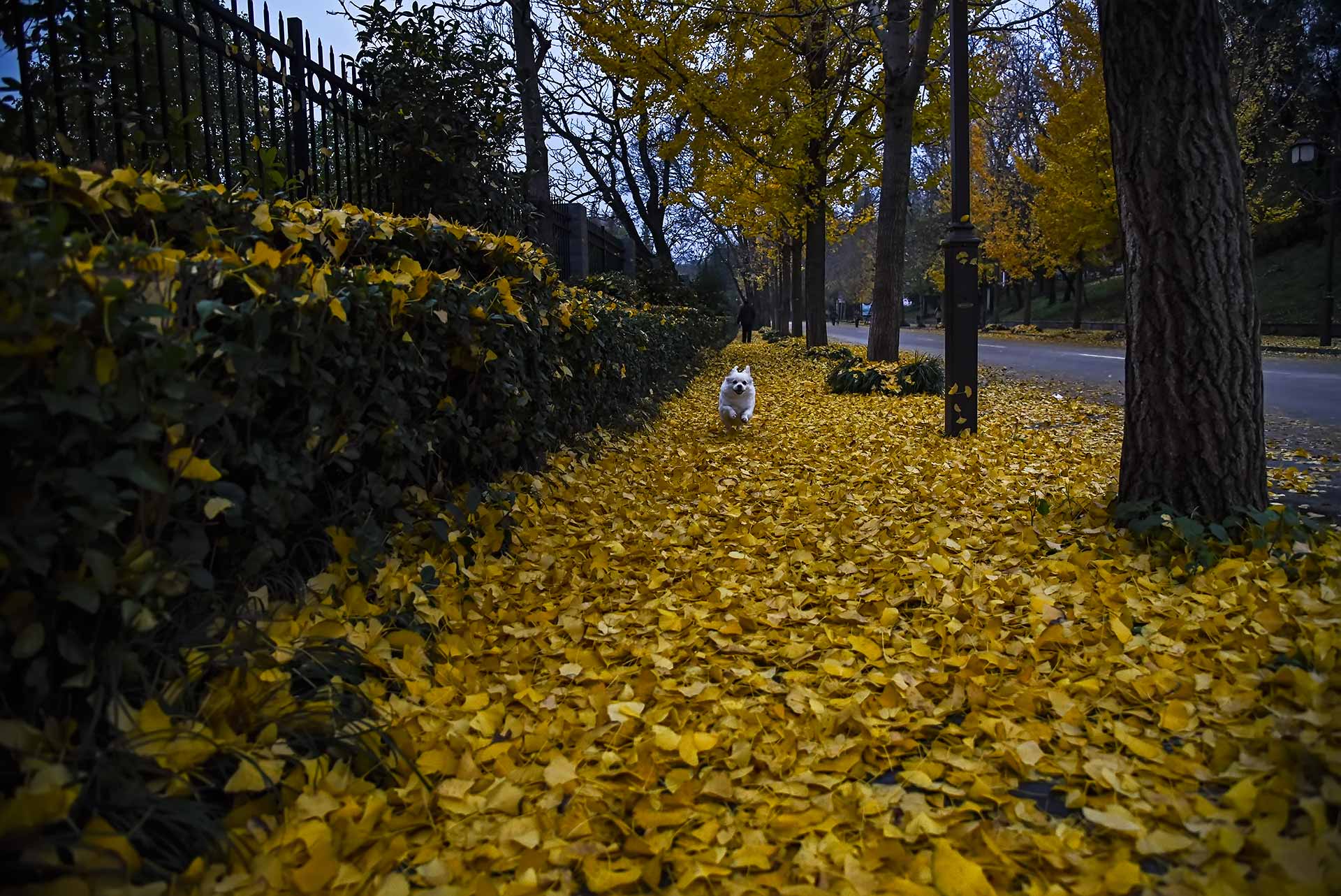 DSC_9645.jpg