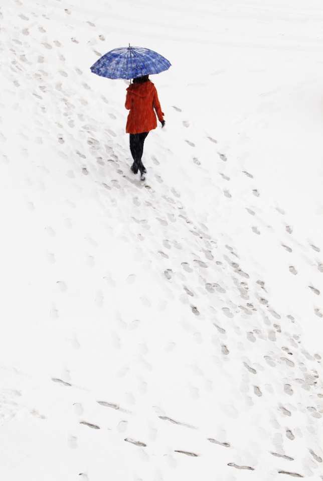 _MG_0961.JPG