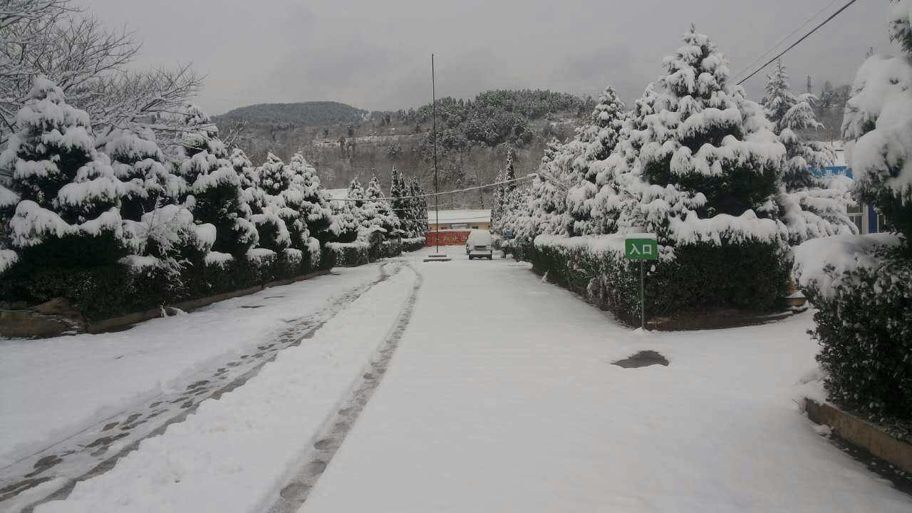 mmexport1448497302197.jpg