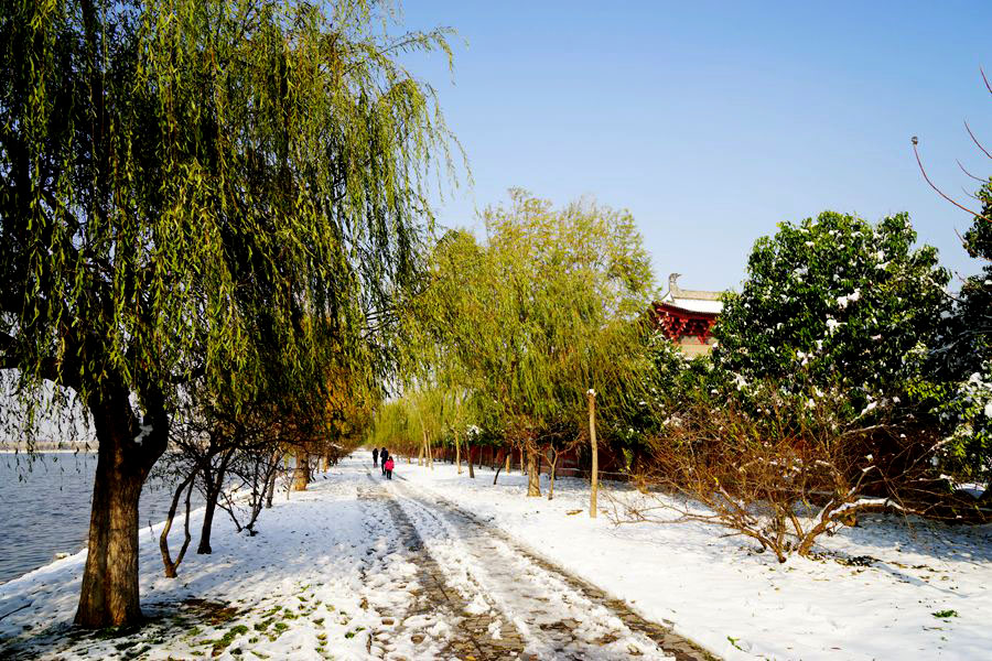 DSC06682_副本.jpg