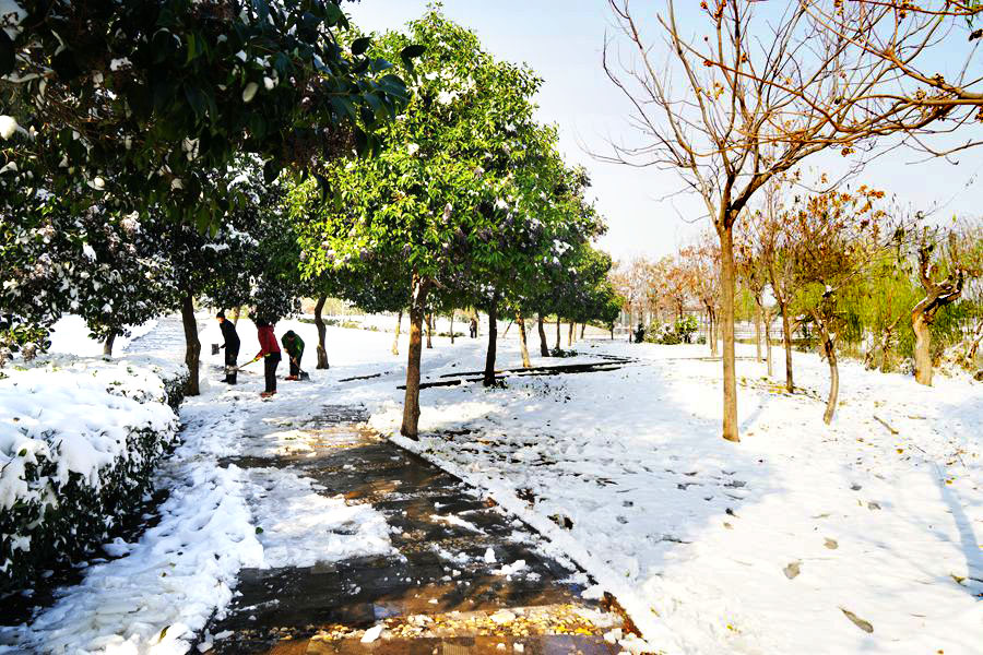 DSC06702_副本.jpg