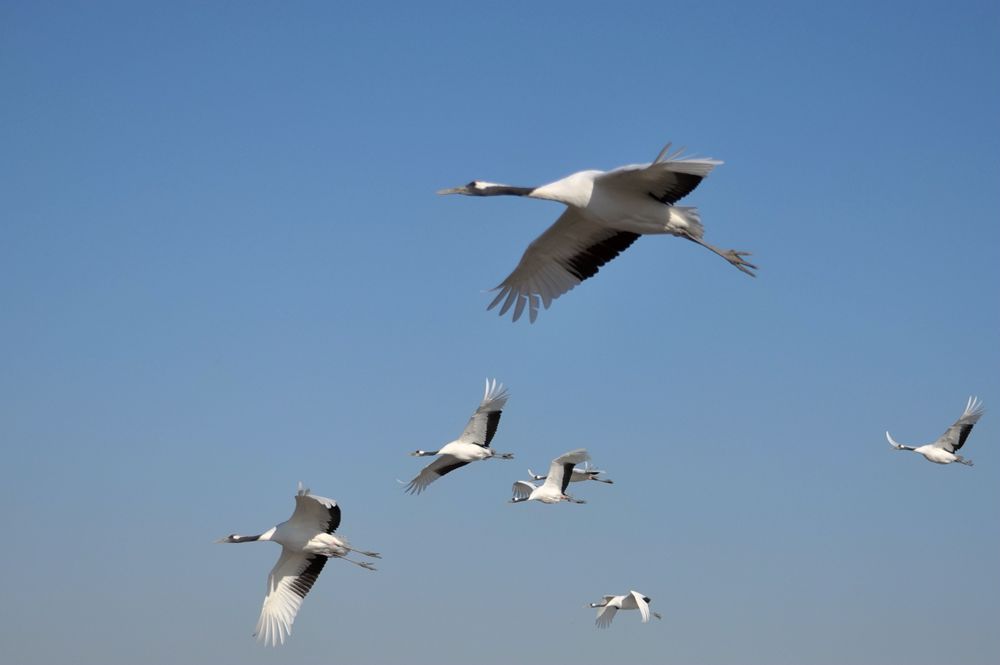 DSC_7365.JPG
