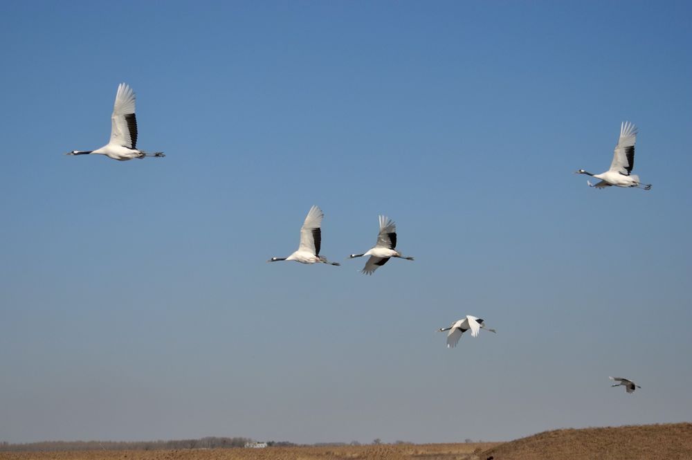 DSC_7366.JPG