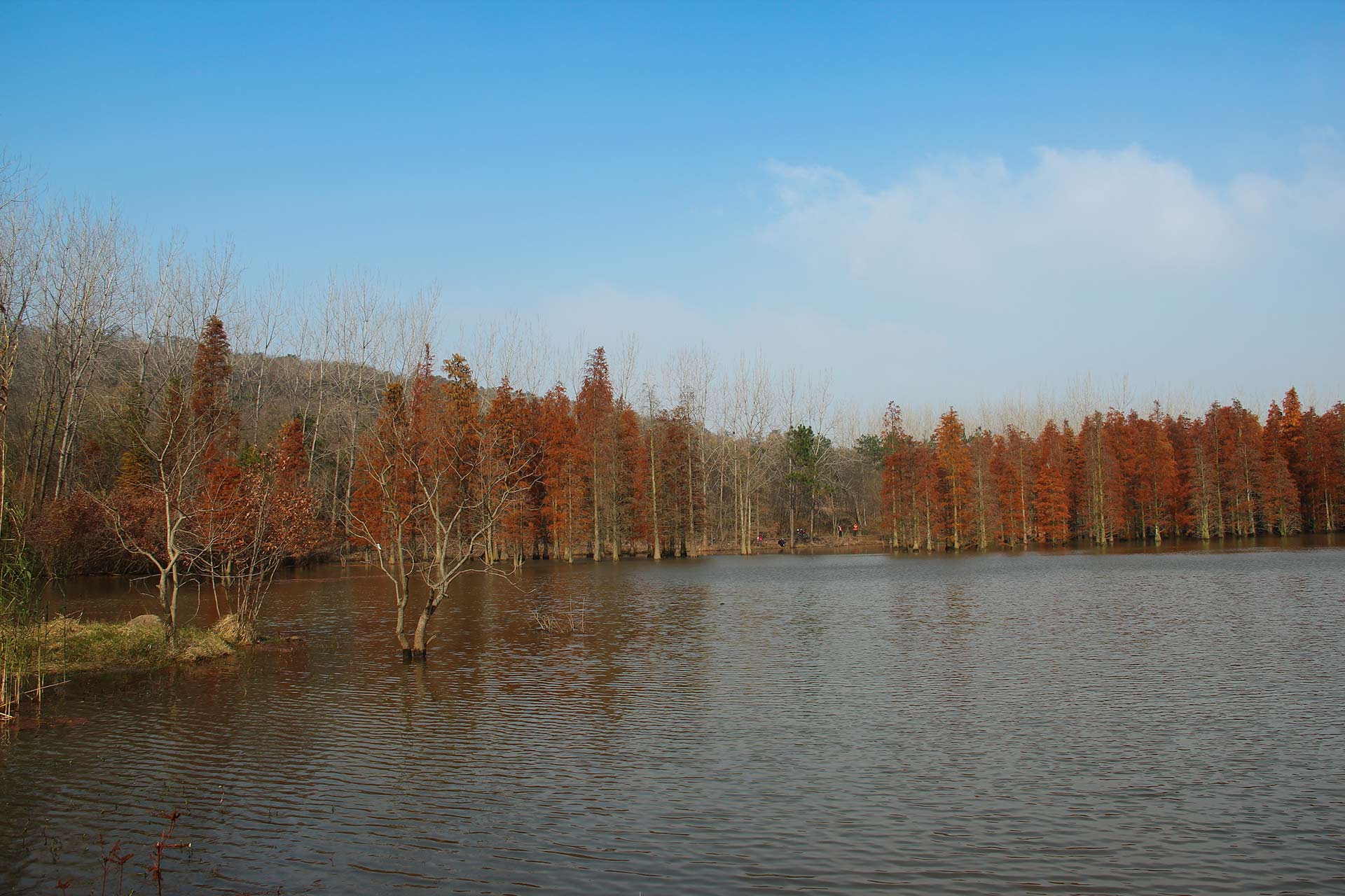 IMG_10171.jpg