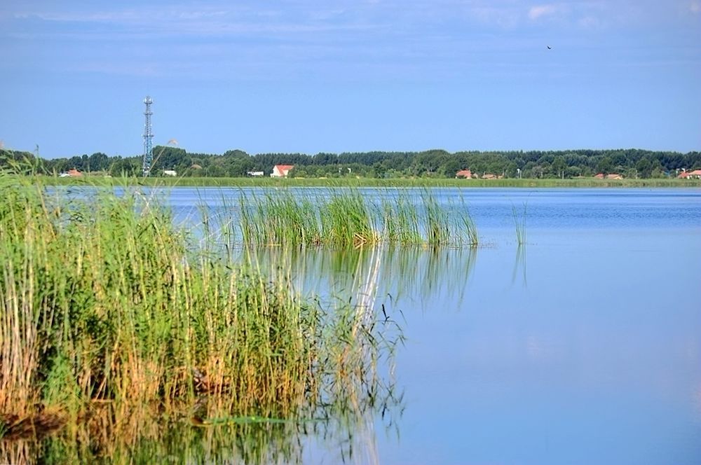 DSC_0575.JPG