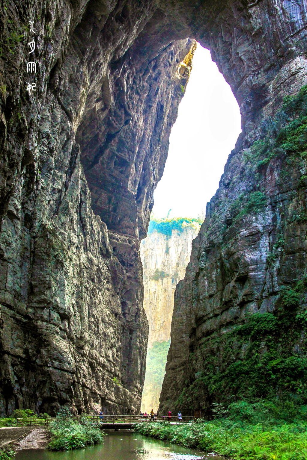 5b.jpg
