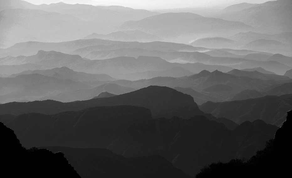 _MG_7261.JPG