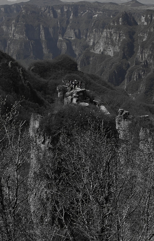 _MG_7443.JPG