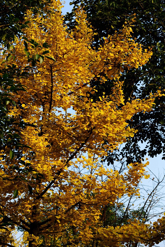 DSC_9905.JPG