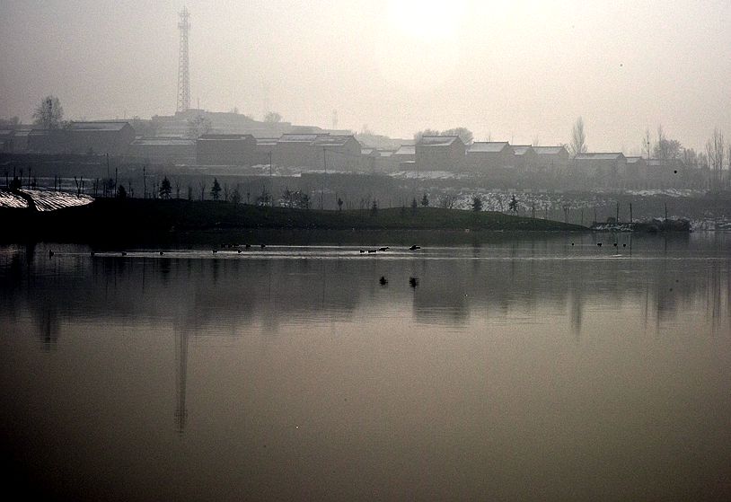 DSC_2754_副本.jpg