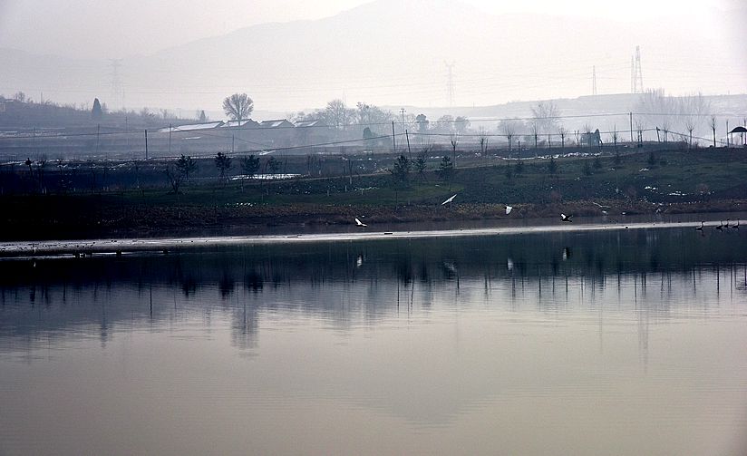 DSC_2797_副本.jpg