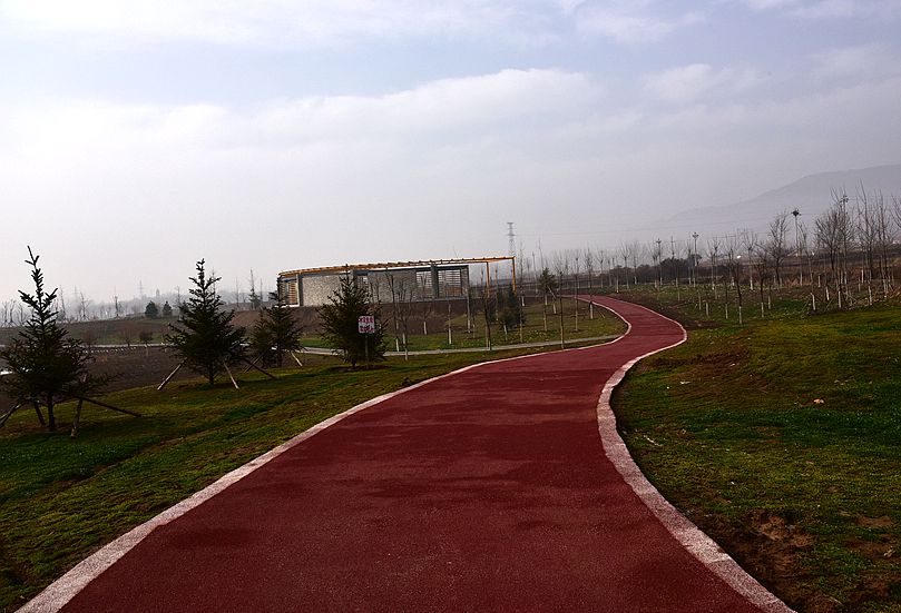 DSC_2804_副本.jpg