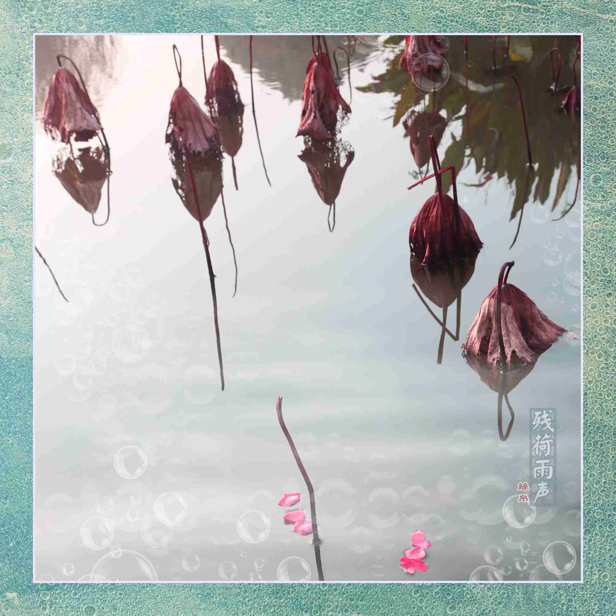 IMG_0081副本_副本_副本.jpg