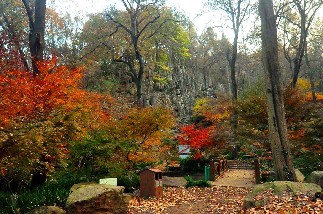 DSC_0015.JPG