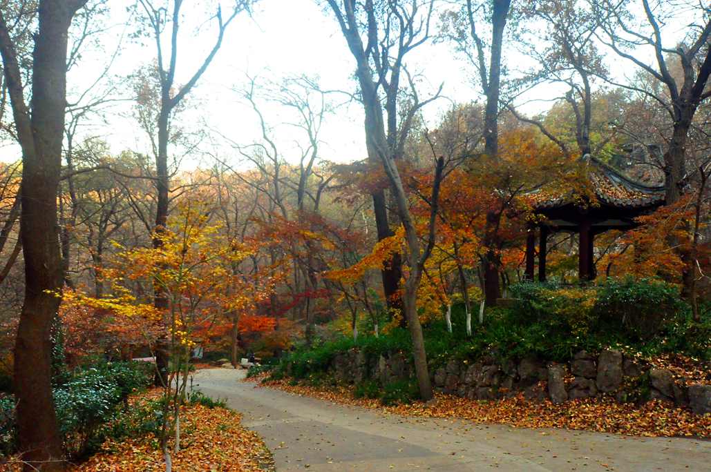 DSC_0016.JPG