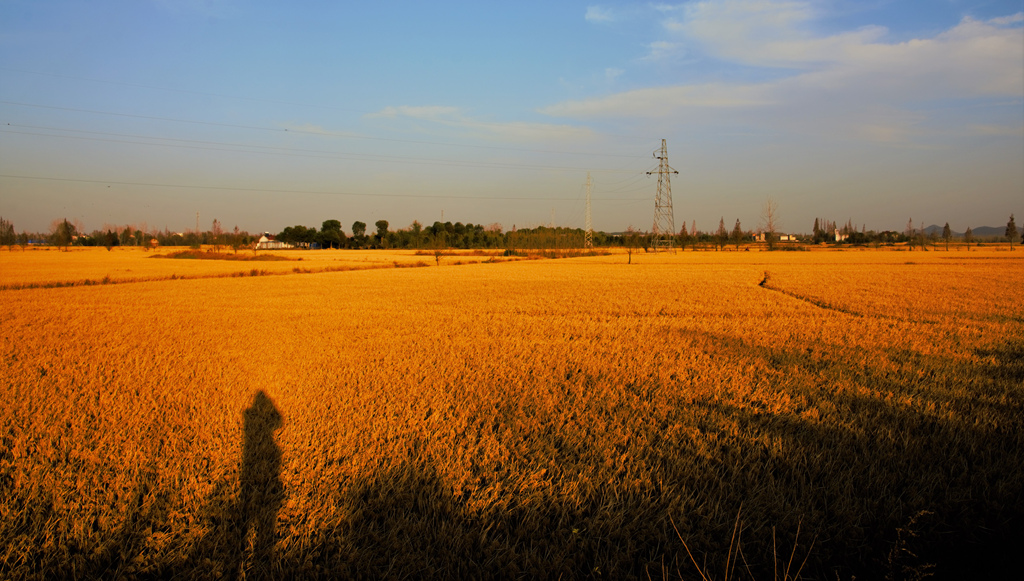 DSC_5104 (2).jpg
