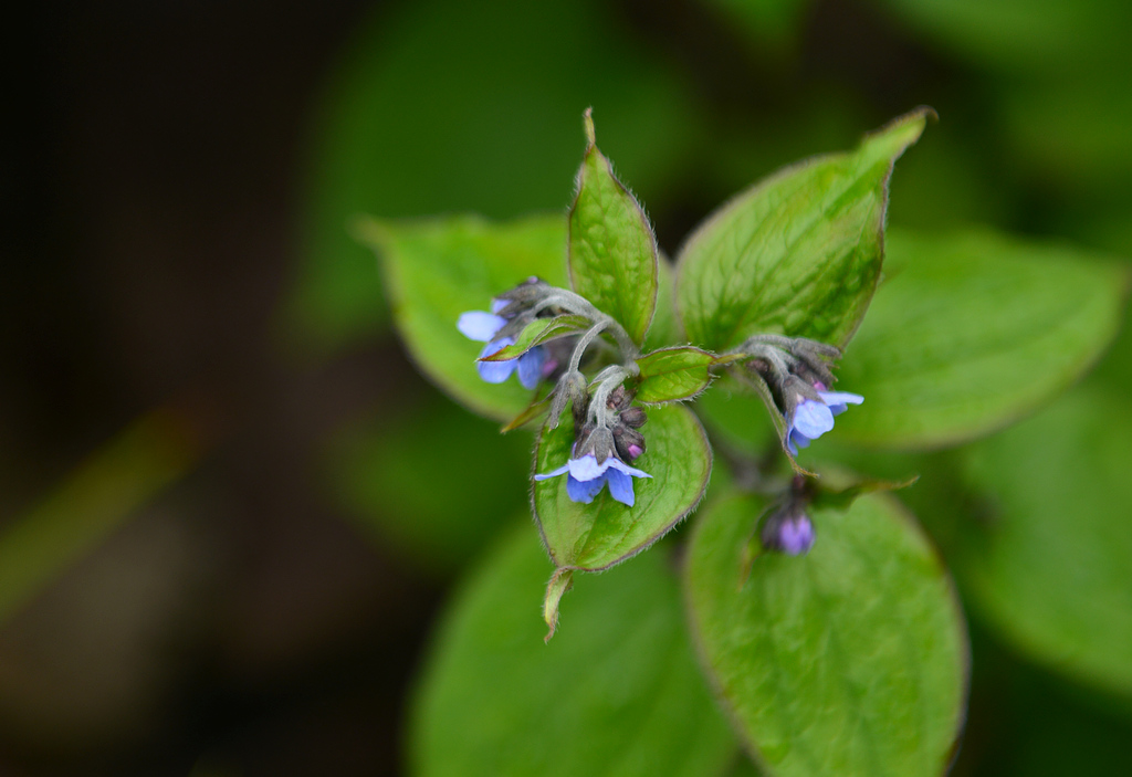 9DSC_1465.jpg
