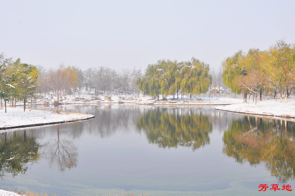 DSC_0904.jpg