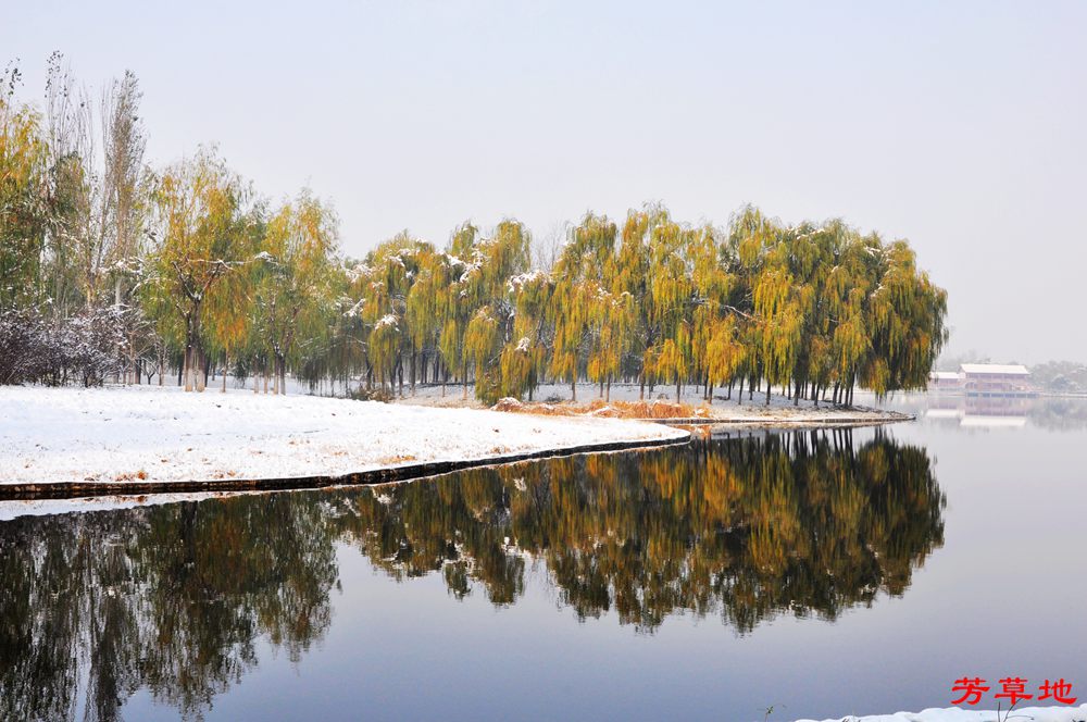 DSC_0910.jpg