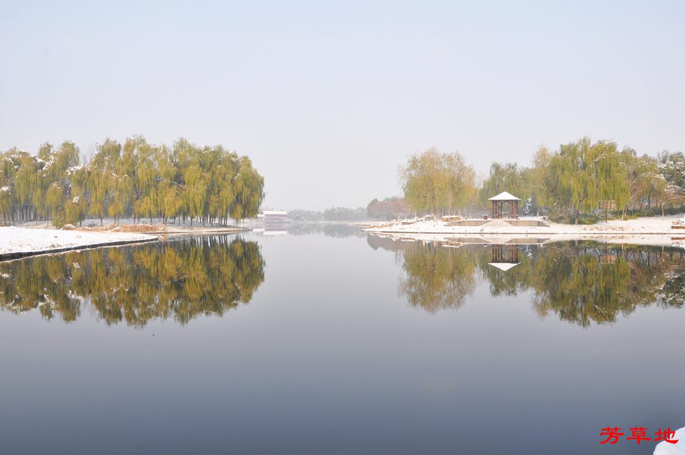 DSC_0916.jpg
