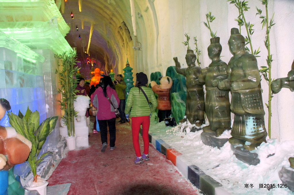 005_DSC3750.JPG