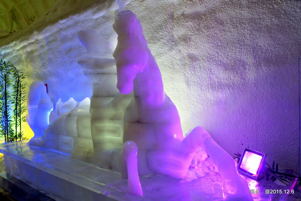 017_DSC3787.JPG