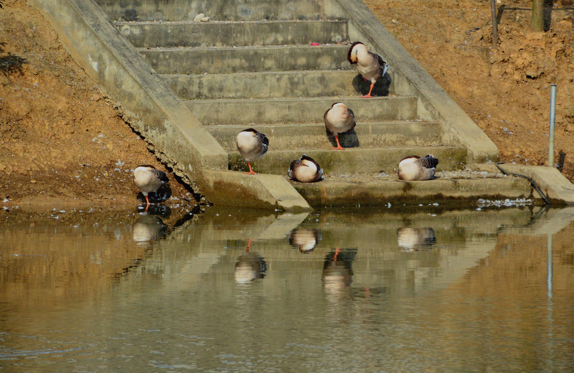 DSC_0091.JPG