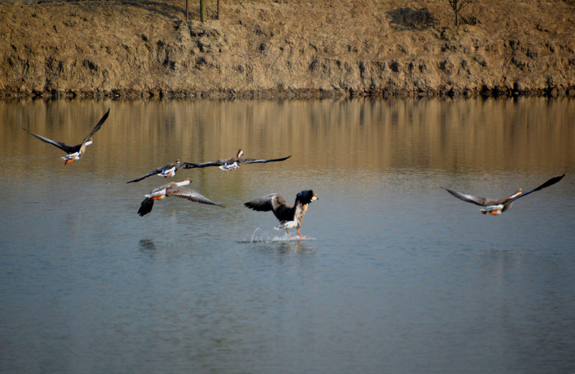 DSC_0095.JPG