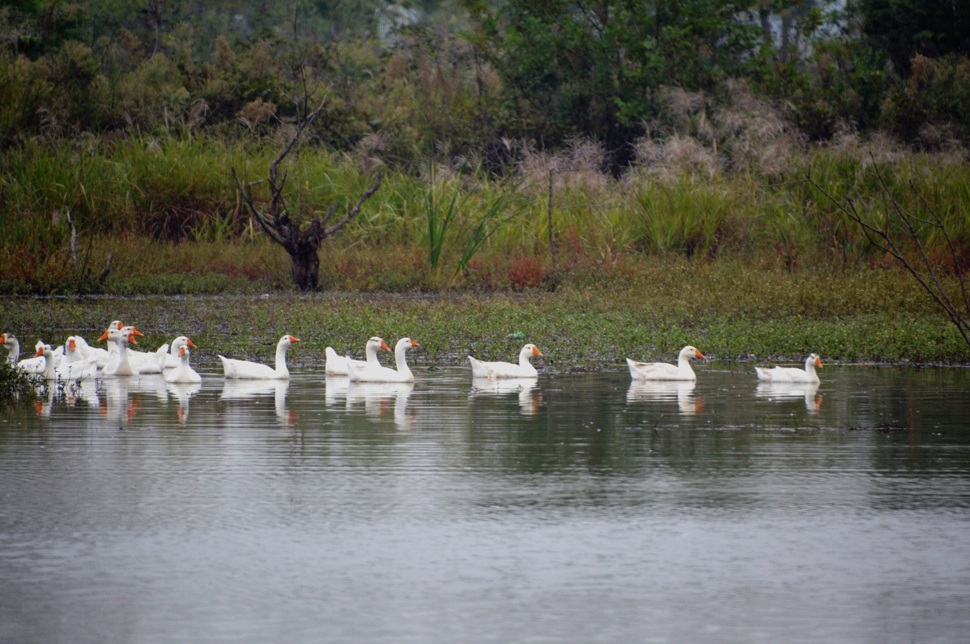 DSC_0122.JPG