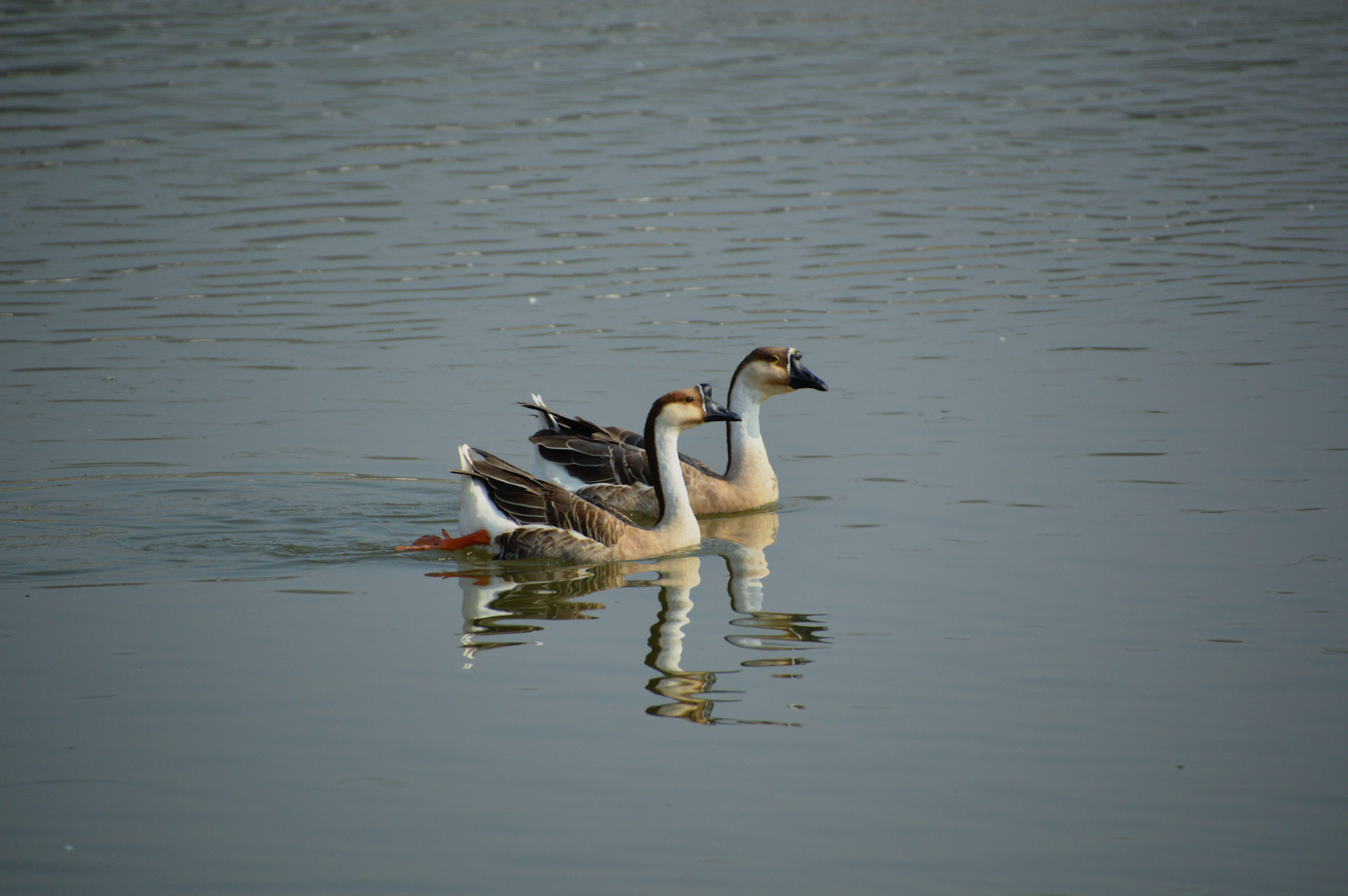 DSC_0149.JPG