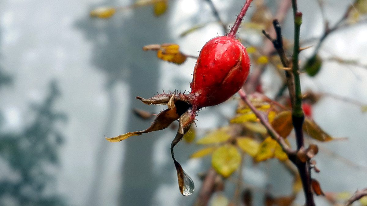 20151101_120835_副本.jpg