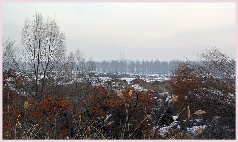 DSC_2239.JPG