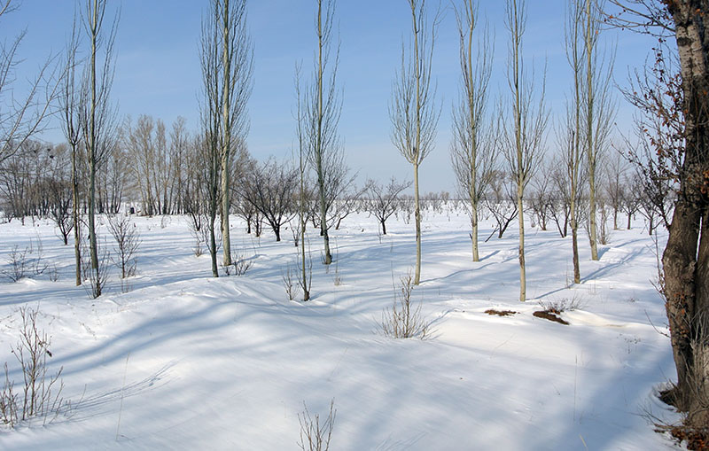 DSC_2293.JPG