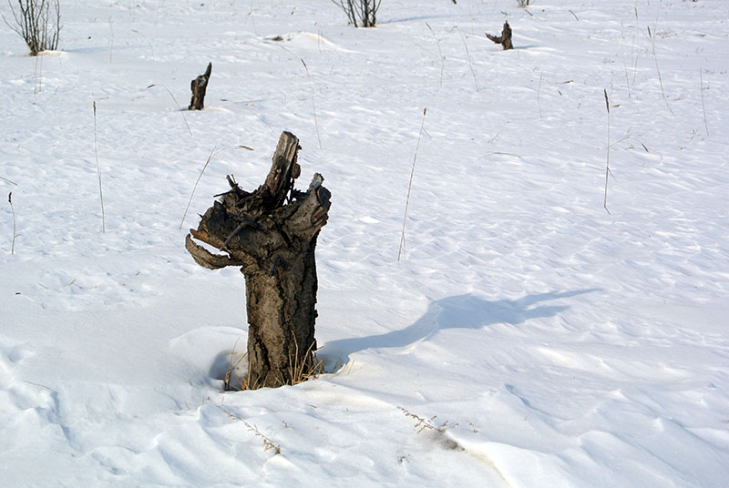 DSC_2304.JPG