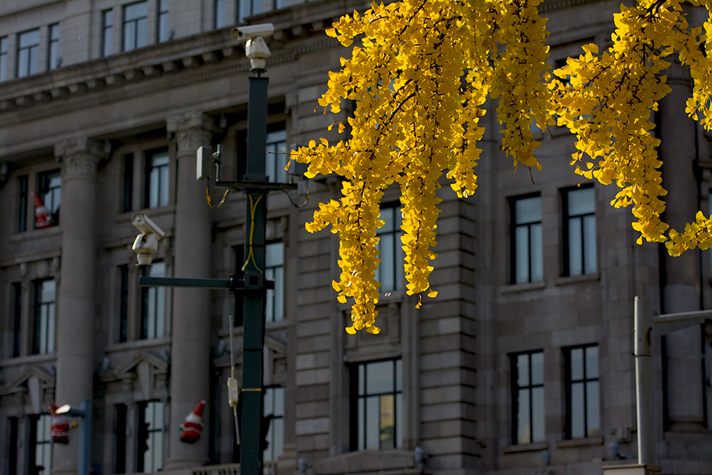DSC_9445.jpg