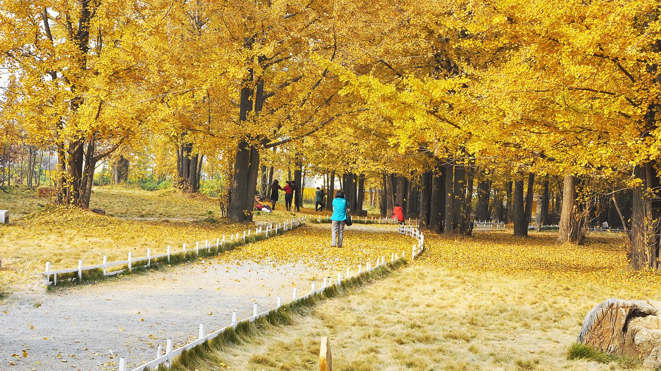 DSC_0157_副本_副本_副本_副本.jpg
