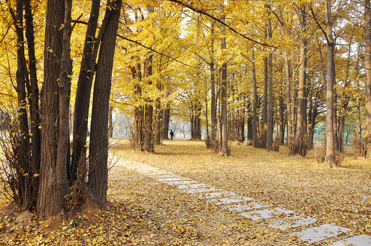 DSC_0299_副本.jpg