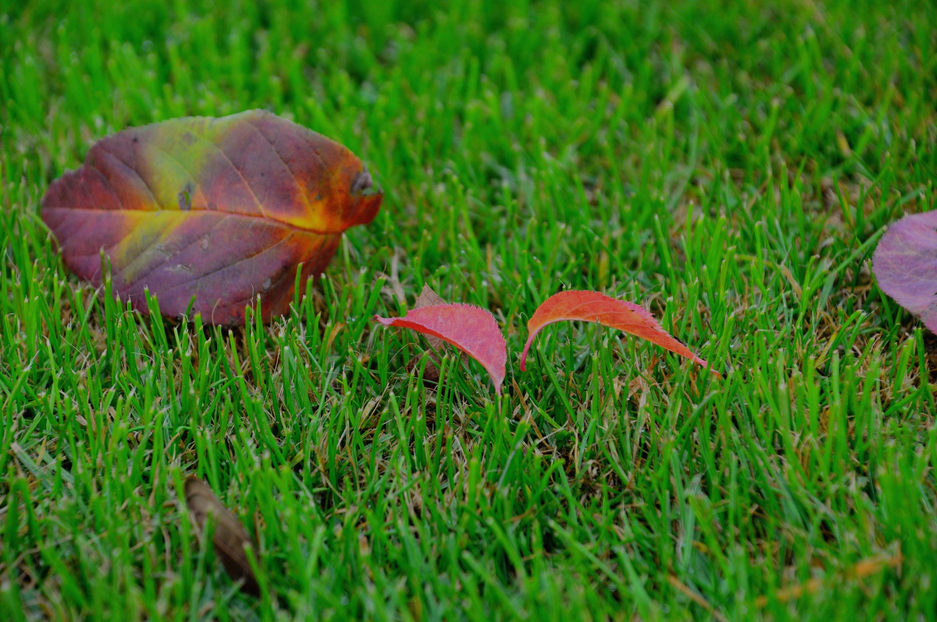 DSC_0308.JPG