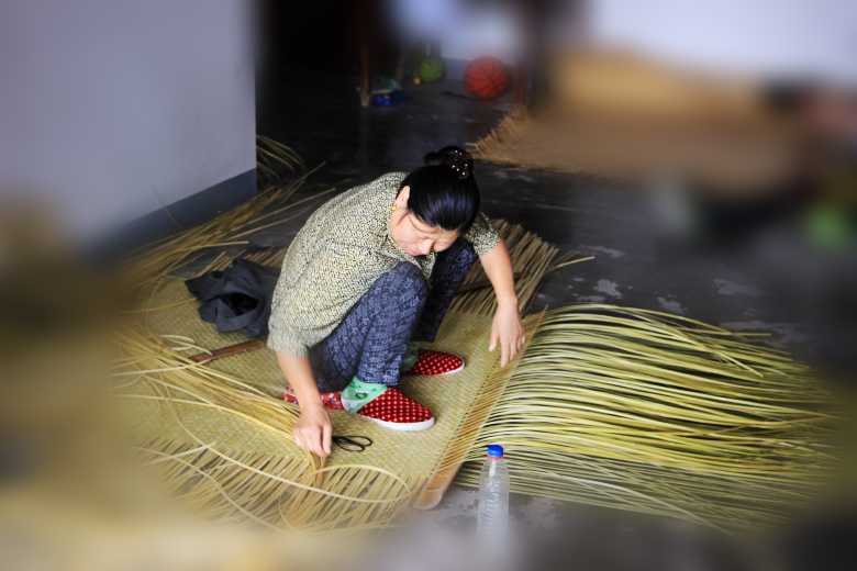IMG_0221_conew1.jpg