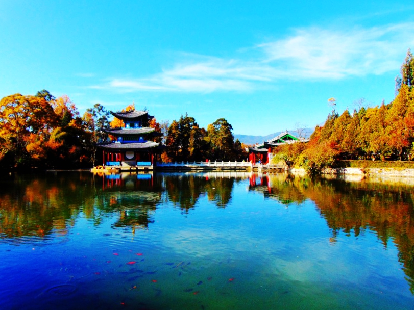DSC01234_conew1_副本.jpg