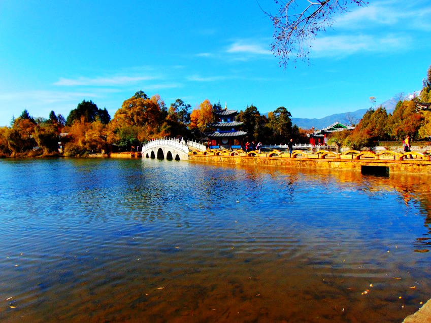 DSC01248_conew1_副本.jpg